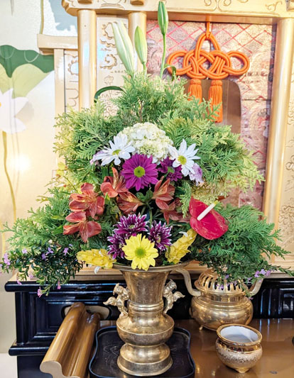 Flores de 15 de maio de 2026