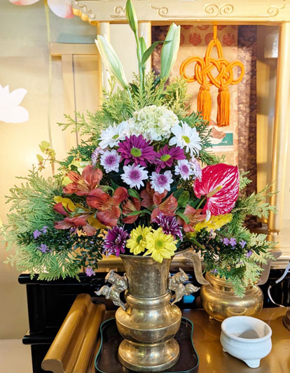 Flores de 15 de maio de 2026