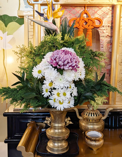 Flores de 01 de outubro de 2026