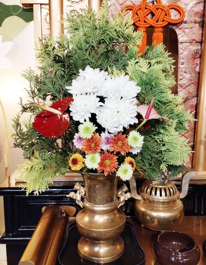 Flores de 02 de Maio de 2025