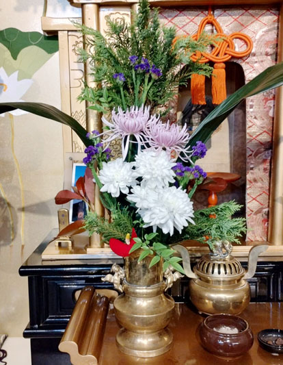 Flores de 03 de Janeiro de 2025