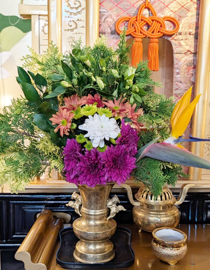 Flores de 04 de junho de 2026