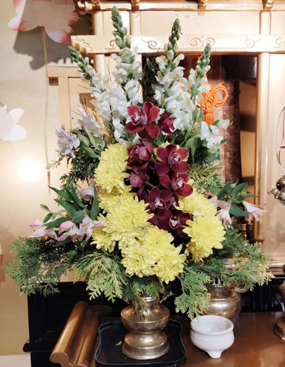 Flores de 04 de setembro de 2025