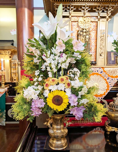 Flores de 08 de maio de 2026