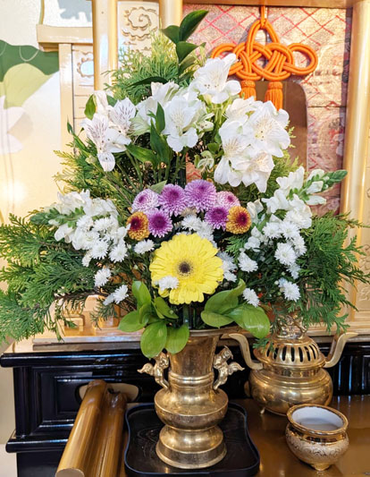 Flores de 08 de maio de 2026