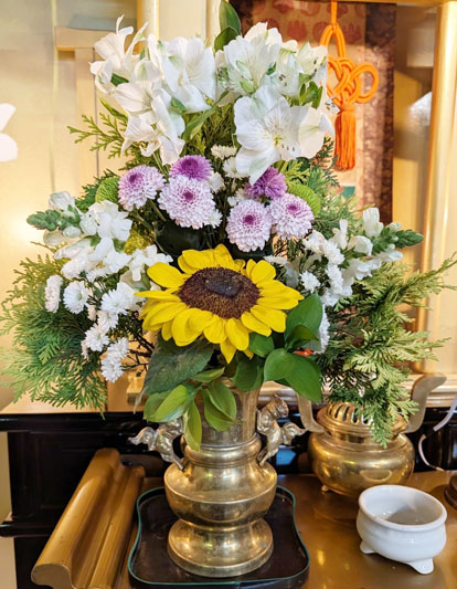 Flores de 08 de maio de 2026