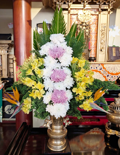 Flores de 08 de outubro de 2026