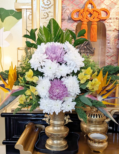Flores de 08 de outubro de 2026