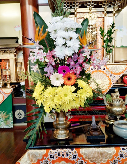Flores de 23 de Agosto de 2024