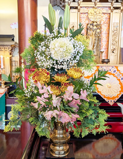 Flores de 09 de janeiro de 2026