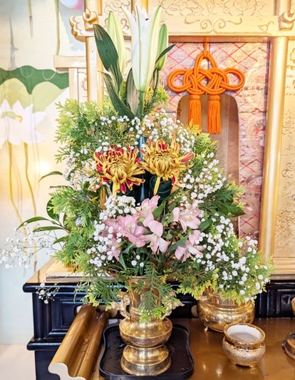 Flores de 09 de janeiro de 2026