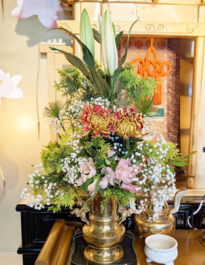 Flores de 09 de janeiro de 2026