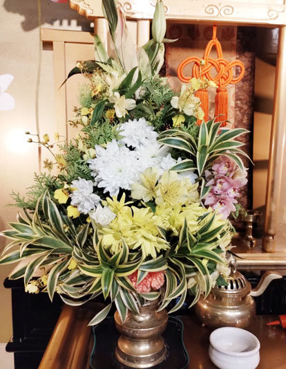 Flores de 09 de Maio de 2025