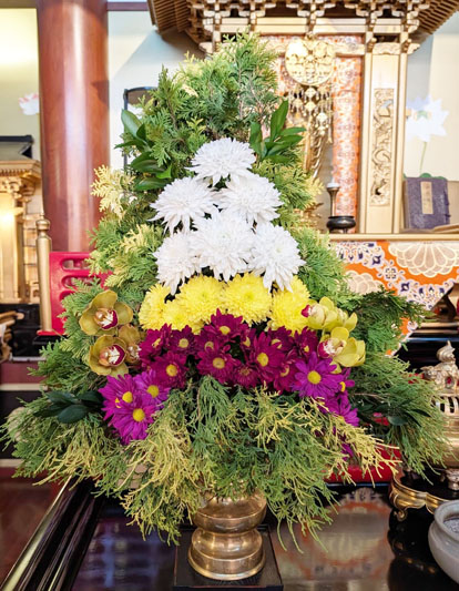 Flores de 10 de julho de 2026