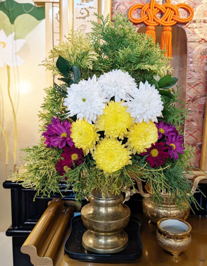 Flores de 10 de julho de 2026
