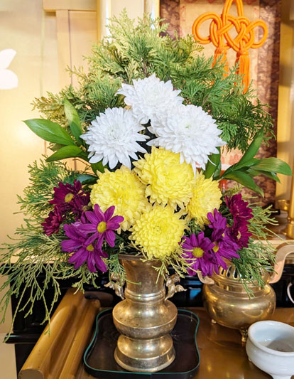 Flores de 10 de julho de 2026