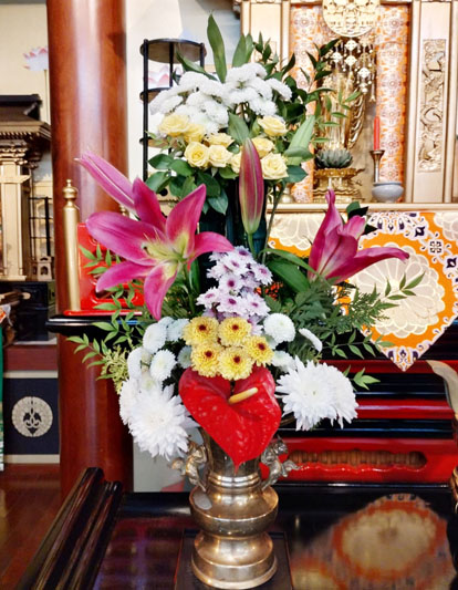 Flores de 10 de Dezembro de 2024