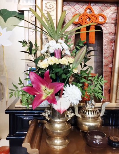 Flores de 10 de Dezembro de 2024