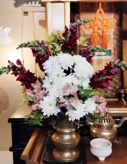 Flores de 11 de setembro de 2025