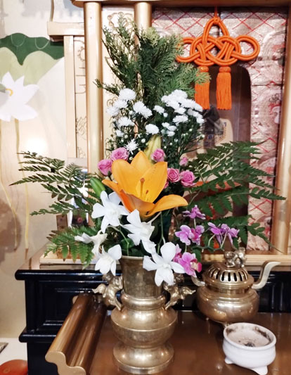 Flores de 15 de Novembro de 2024