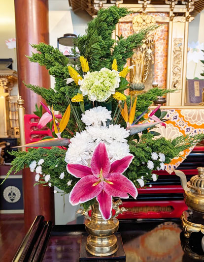 Flores de 12 de fevereiro de 2026