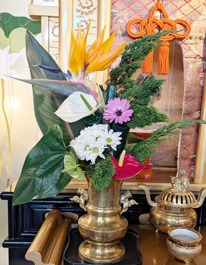 Flores de 13 de março de 2026
