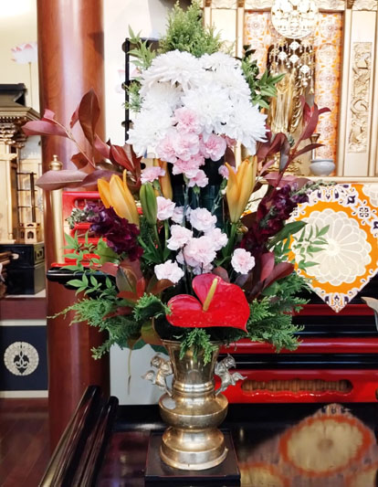 Flores de 14 de Dezembro de 2024