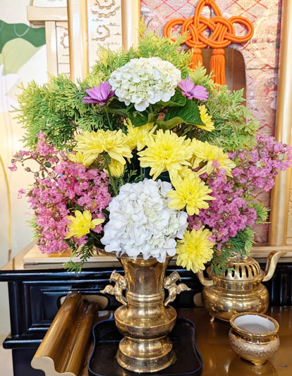 Flores de 16 de janeiro de 2026