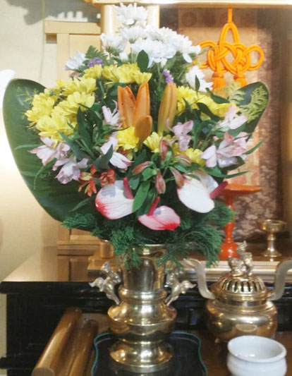 Flores de 18 de dezembro de 2025