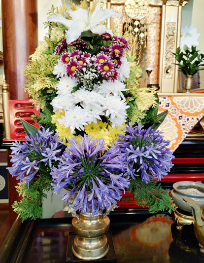 Flores de 19 de novembro de 2025