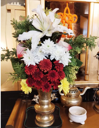 Flores de 19 de novembro de 2025