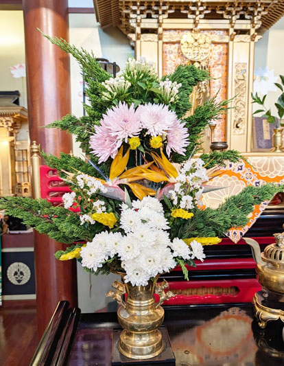 Flores de 20 de fevereiro de 2026