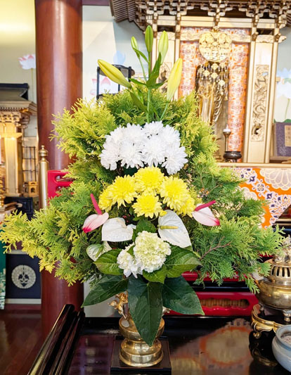 Flores de 20 de março de 2026