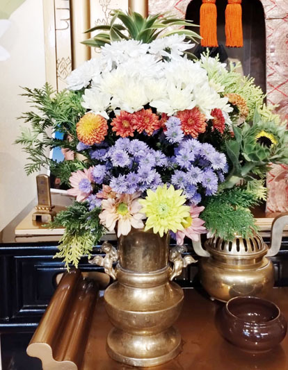 Flores de 21 de Março de 2025