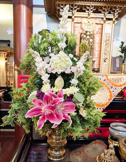 Flores de 22 de janeiro de 2026