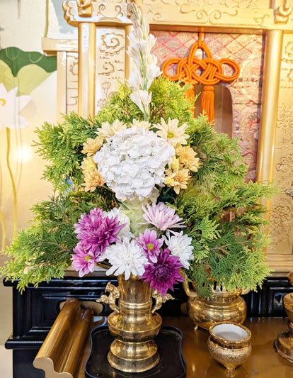 Flores de 22 de janeiro de 2026
