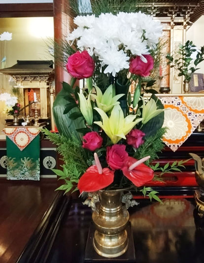 Flores de 23 de Janeiro de 2025