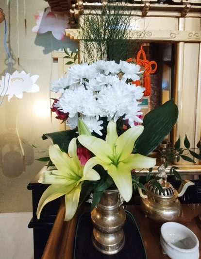 Flores de 23 de Janeiro de 2025