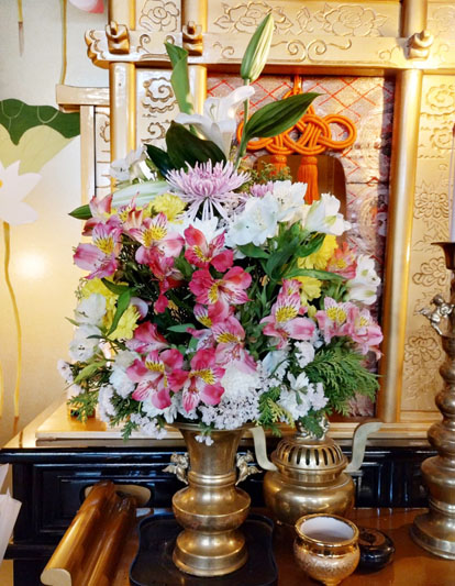 Flores de 23 de outubro de 2025