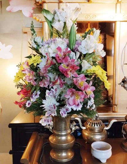 Flores de 23 de outubro de 2025