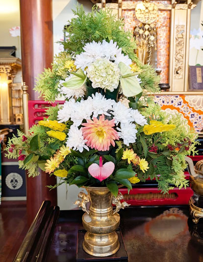 Flores de 24 de abril de 2026