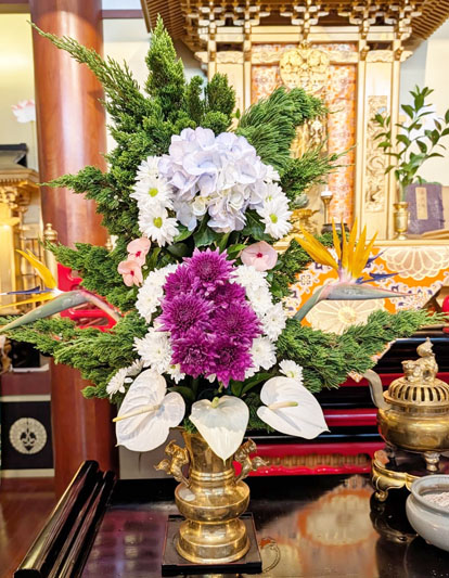Flores de 26 de fevereiro de 2026