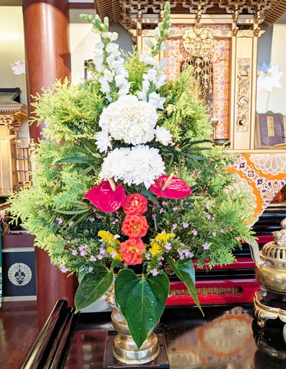 Flores de 26 de março de 2026