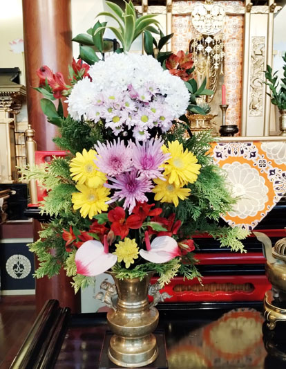 Flores de 27 de Março de 2025