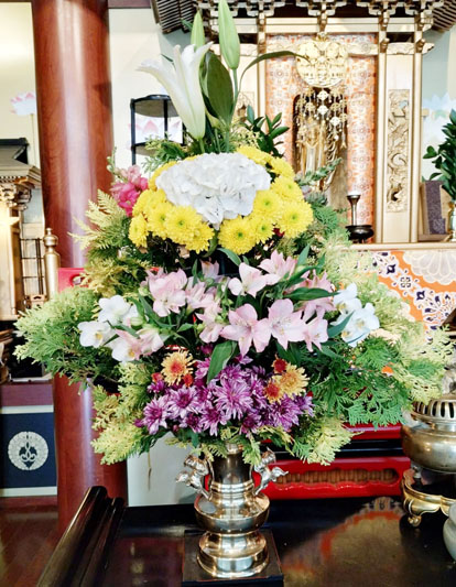 Flores de 28 de novembro de 2025