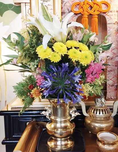 Flores de 28 de novembro de 2025