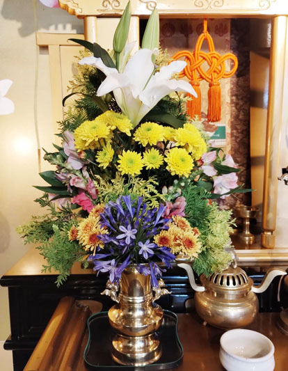 Flores de 28 de novembro de 2025