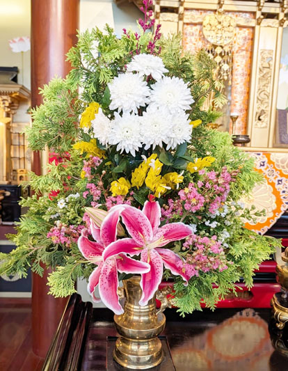 Flores de 29 de janeiro de 2026