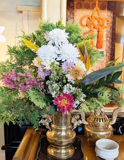 Flores de 29 de janeiro de 2026