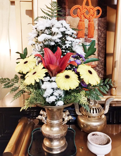 Flores de 29 de Novembro de 2024